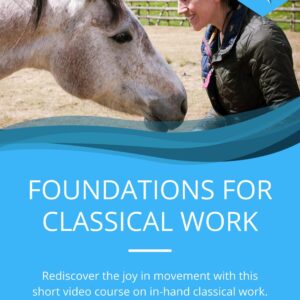 Foundations for Classical Work Free