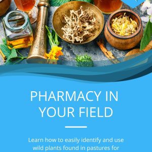 Pharmacy in Your Field