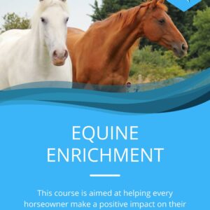 Equine Enrichment