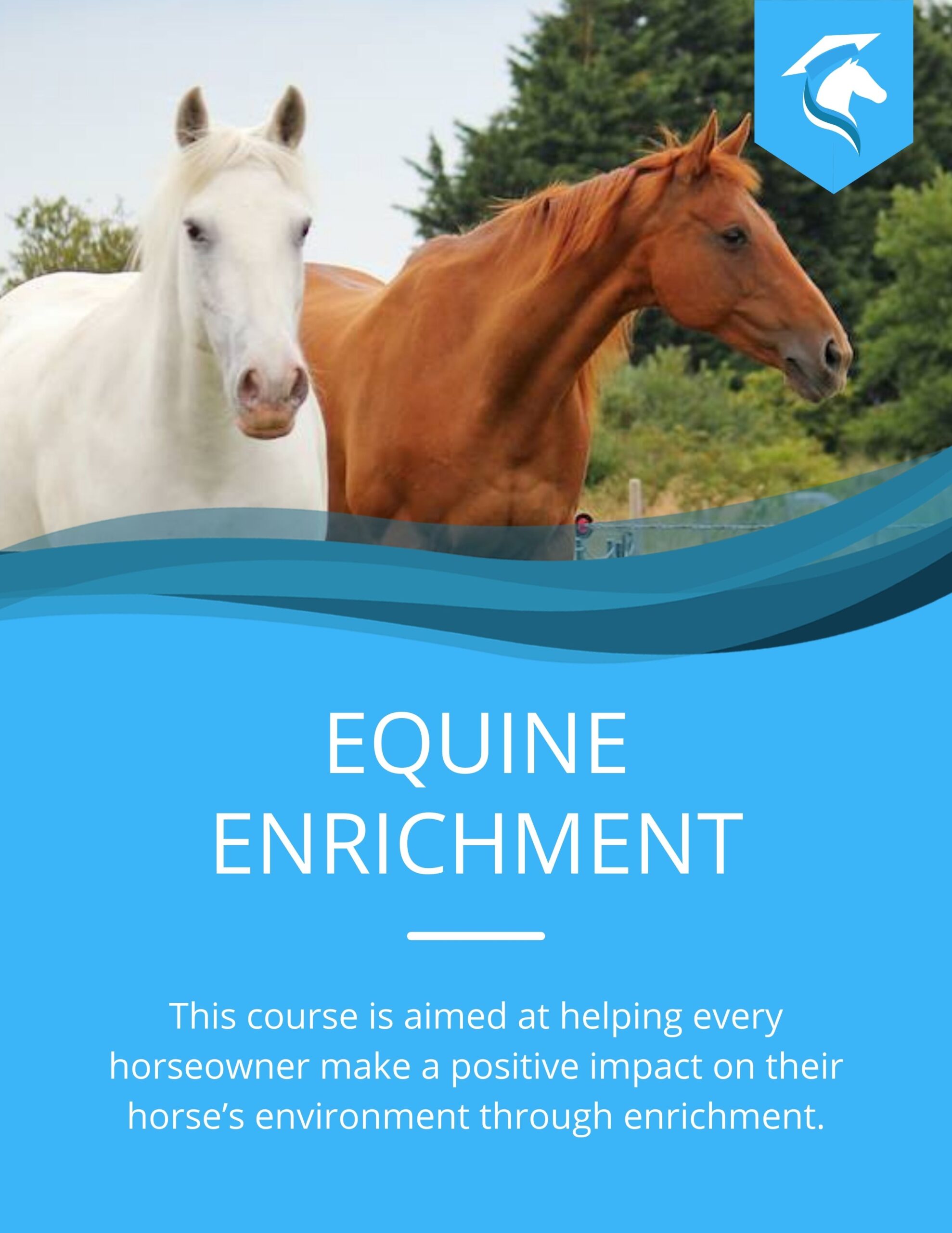 Equine Enrichment
