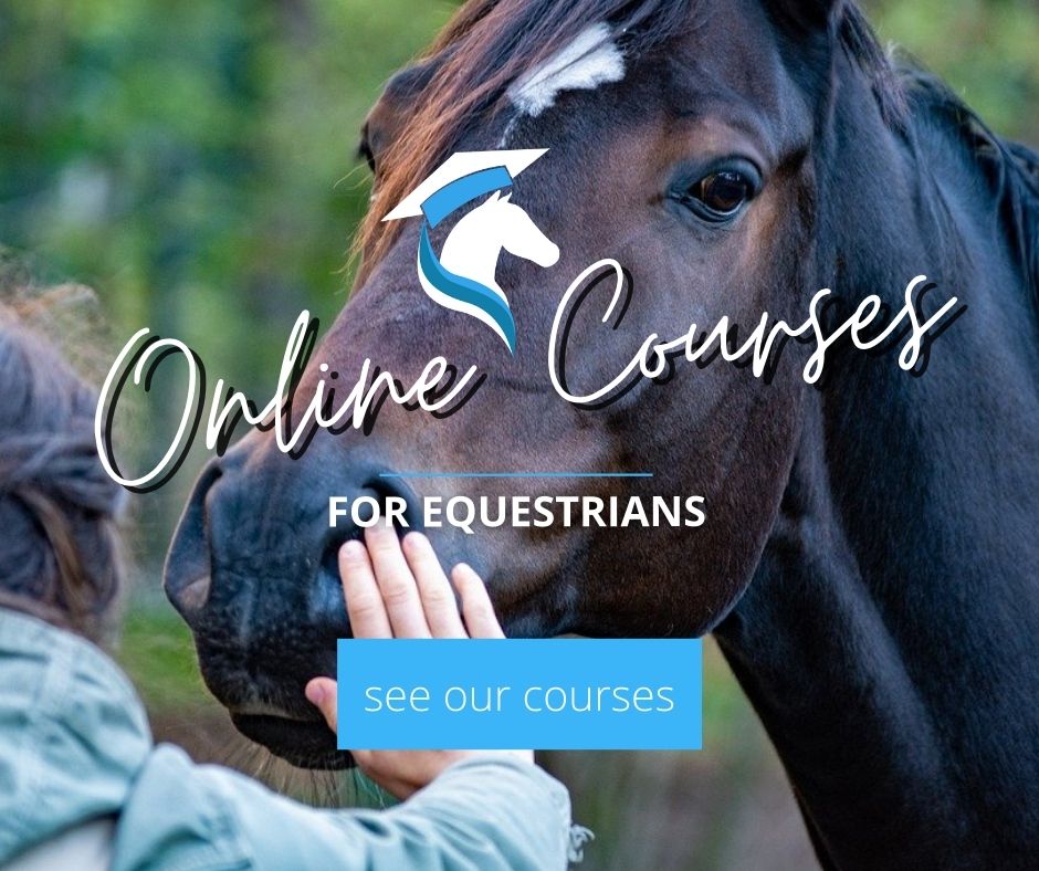 Equine Studies Online Courses for Equestrians Equine Academy