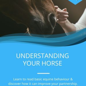 Understanding Your Horse