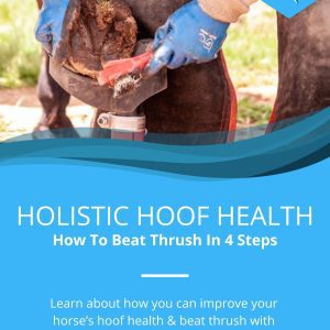 Holistic Hoof Health